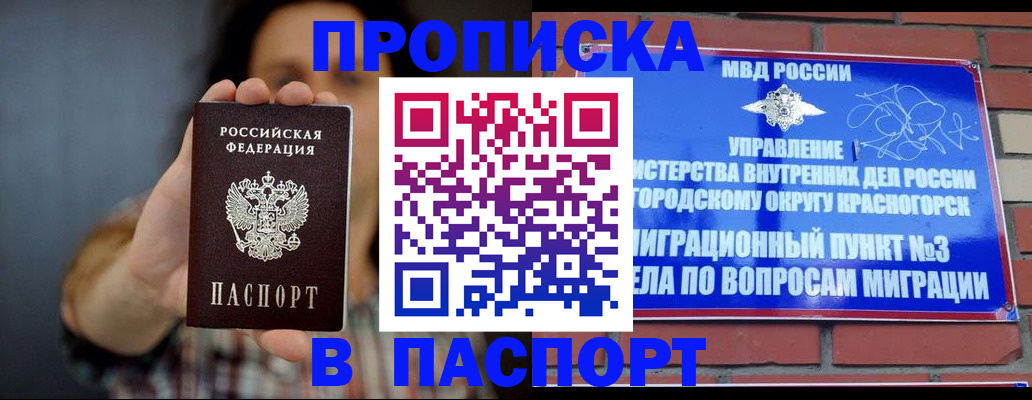 прописка в квартире в Михайловке